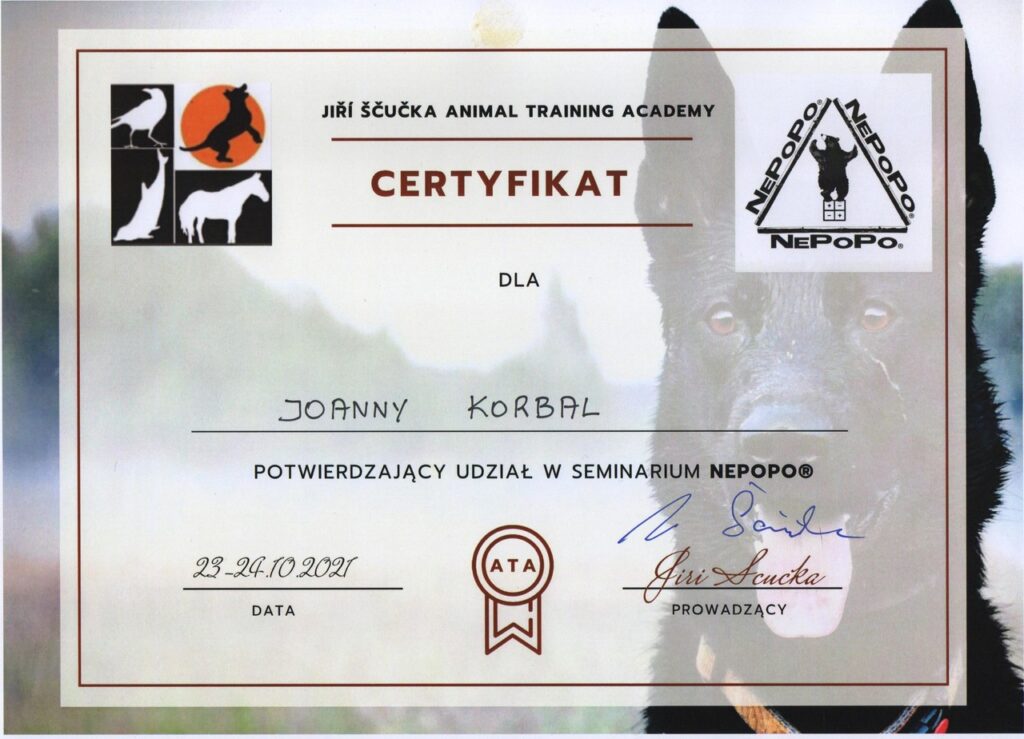 certyfikat Joanna Korbal