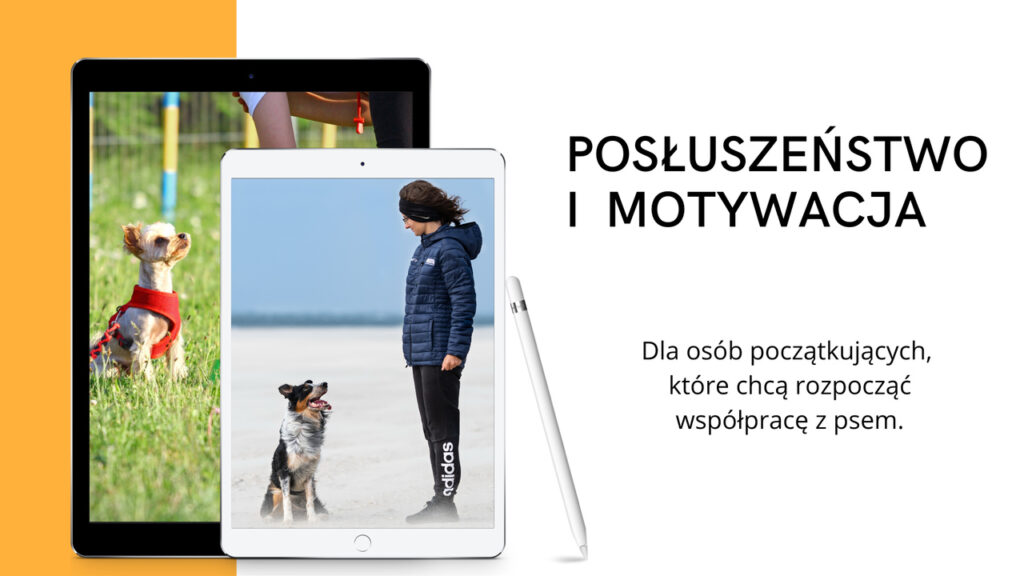 posłuszeństwo i motywacja